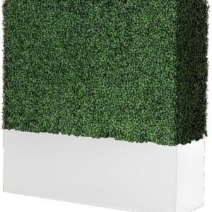 Blanc Short Boxwood Hedge Wall rental Dallas